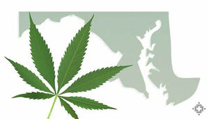 2023 Maryland Cannabis Reform Bill