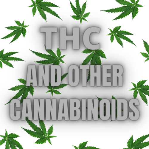 THC AND OTHER CANNABINOIDS