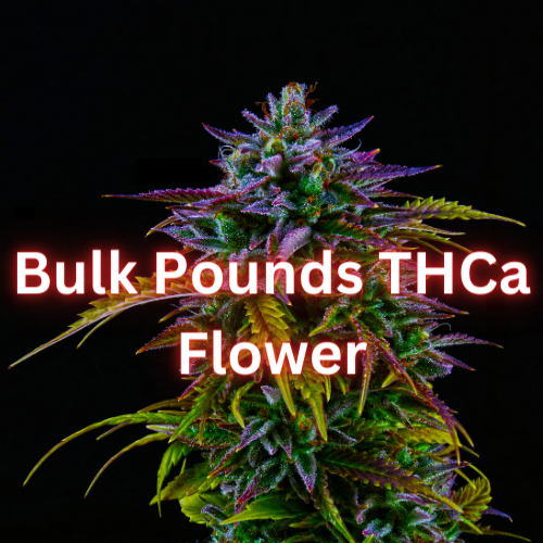 Buy Bulk Pounds THCa Flower Indoor