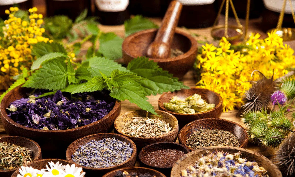 Holistic Wellness