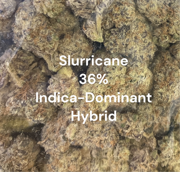 SLURRICANE THCA FLOWER 36% ~ INDICA-DOMINANT HYBRID ~ EXOTIC (ONLINE ONLY!!)