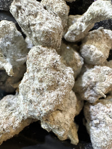 Girl Scout Cookies - Snow Caps - Indica Dominant Hybrid - 61% - THCa Flower / PURE PEACE