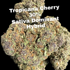 TROPICANA CHERRY THCA FLOWER -SATIVA DOMINANT HYBRID -30% INDOOR EXOTIC