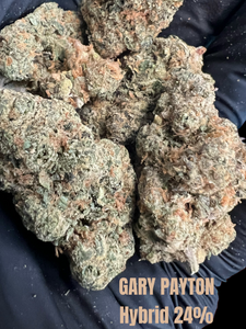 Gary Payton THCA Flower 28% - Hybrid - Indoor Exotic