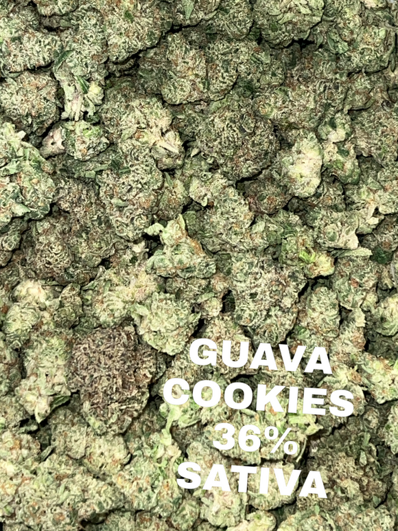 Buy Grade AAA Premium Exotic Cannabis: Wholesale Bulk Pounds Available Now