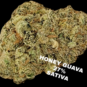 Honey Guava THCa Flower 27% - Sativa-Dominant Hybrid