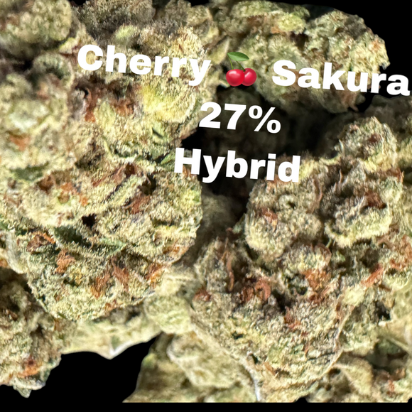 Cherry Sakura THCa Flower 27% - Hybrid INDOOR LIGHT ASSIST