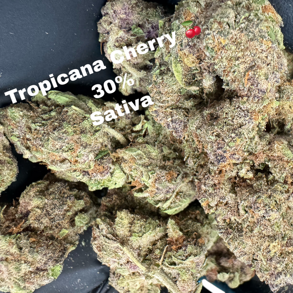 Tropicana Cherry THCa Flower 30% - Sativa INDOOR LIGHT ASSIST