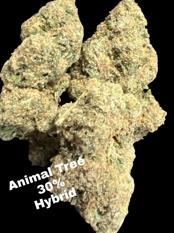 Animal Tree THCA FLOWER - HYBRID - 30%