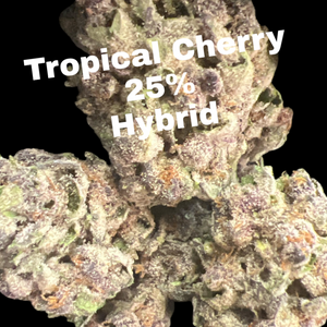 Tropical Cherry THCA Flower 25% - Hybrid - Deps