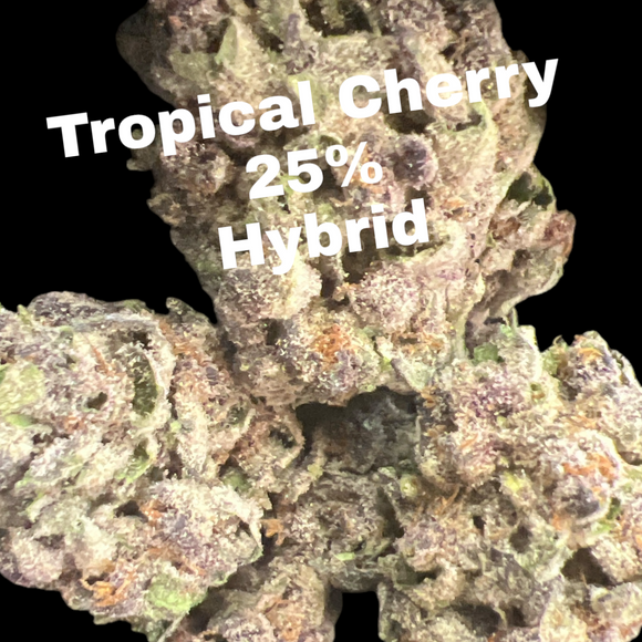 Tropical Cherry THCA Flower 25% - Hybrid - Deps