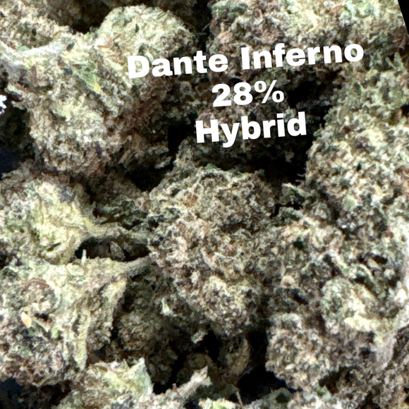 DANTE'S INFERNO THCA FLOWER 28% ~ INDICA-DOMINANT HYBRID ~ LIGHT ASSIST