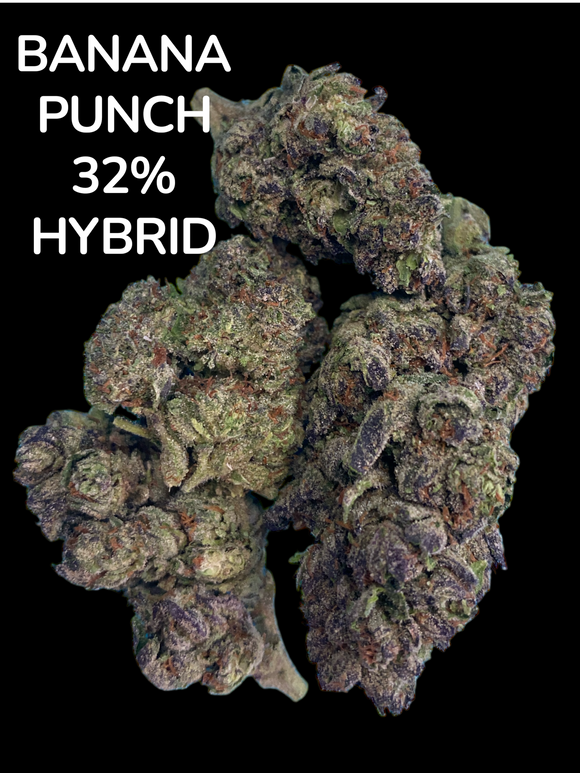 BANANA PUNCH 32% THCA FLOWER  - HYBRID -  LIGHT ASSIST
