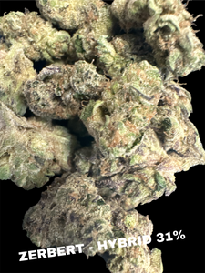 ZERBERT 31%- THCA FLOWER - HYBRID - INDOOR EXOTIC