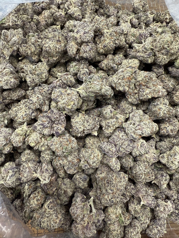 BLACK TRUFFLE THCA FLOWER 33% ~ INDICA-DOMINANT HYBRID ~ EXOTIC B BUDS