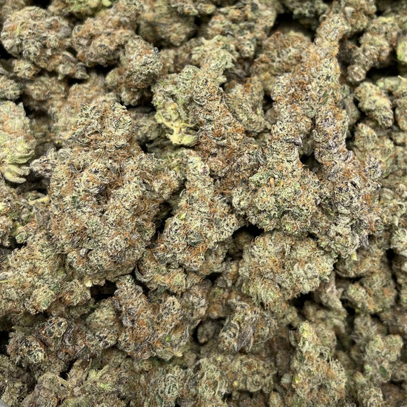 GOVERNMENT OASIS THCA FLOWER 30% - HYBRID | INDOOR EXOTIC | (ONLINE ONLY)